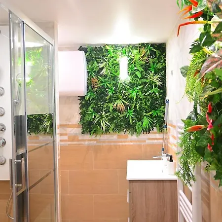 Sauna 10mn Aeroport Roissy Cdg *